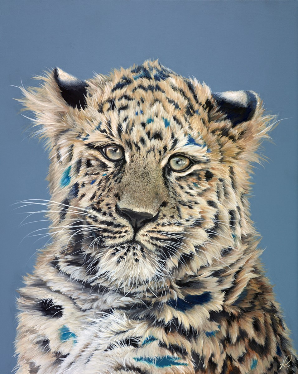 Cool Cat